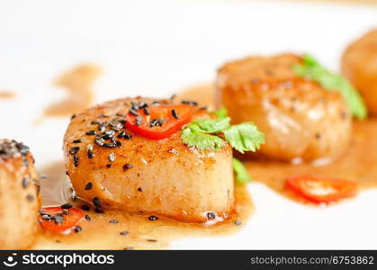 Scallop