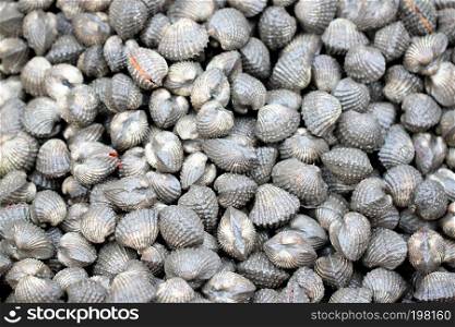 scallop or cockles in seafood market for the background image.