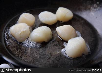 Scallops fried in pan