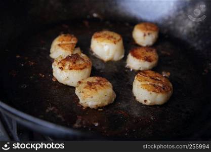 Scallops fried in pan