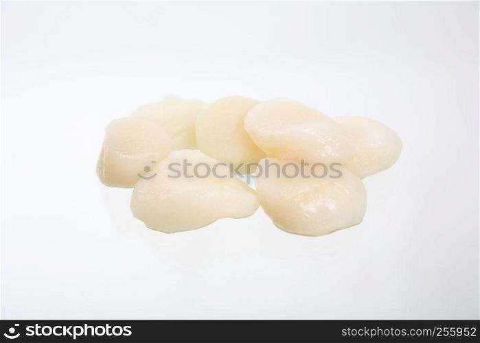 Scallops isolated in white background