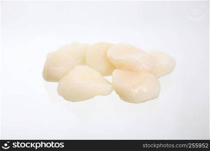 Scallops isolated in white background