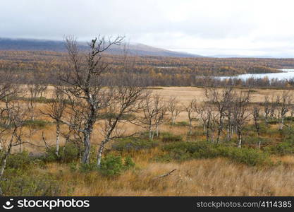 scandinavian mountain scenery