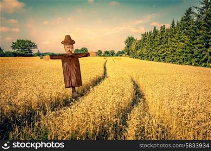 Scarecrow in a countryside landscape with golden fields