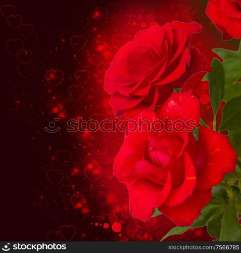 scarlet roses on dark bokeh background with hearts