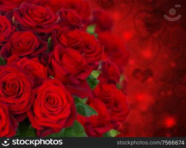 scarlet roses on dark red bokeh background with hearts. scarlet roses on dark background