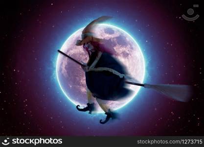 Scary witch flying on a broomstick on the background of a full moon. Halloween background
