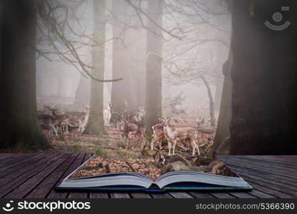 Scene in magic book of fallow deer grazing in foggy forest