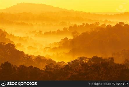 Scenery of mountains in the early morning mist. Soft morning fog covers pine forest and mountain trees. Abstract layer of mountains in the mist. Nam Nao, Thailand. Holiday, vacations, tourism concepts.