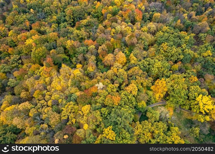 Scenery view from drone on colorful fall leaves on trees at wild forest. Natural pattern and wallpaper.. View from drone on colorful trees at autumn forest