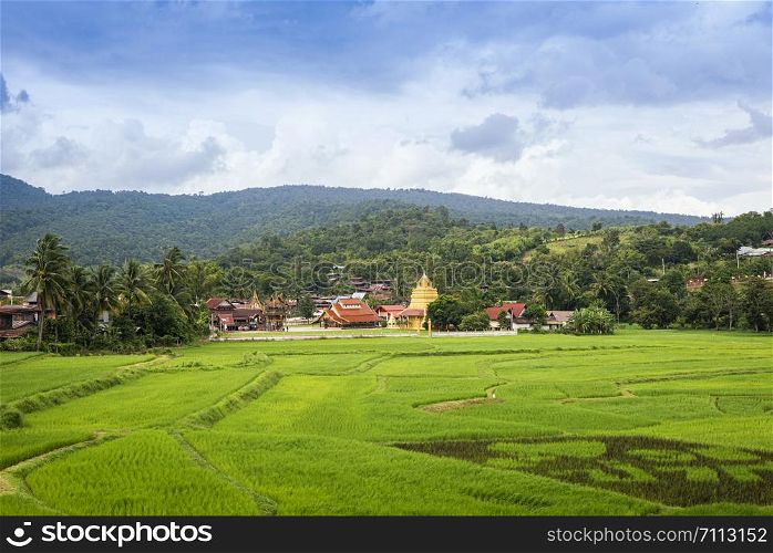 Scenery view of green rice field with old temple in Thailand golden pagoda and mountain background ancient temple beautiful landmark of buddhist at Na Haeo Loei temple Thailand naheaw