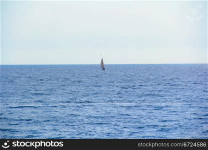 Scenery with calm water and sailboat in sunshines