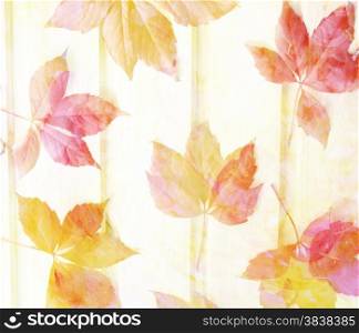 Scenic abstract background with leaves made with color filters, watercolor composition