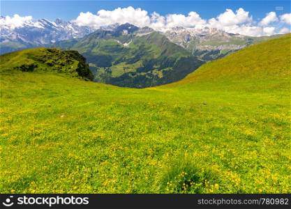 Scenic aerial view of the Swiss Alps on a sunny day. Mannlichen. View of the Swiss Alps near the city of Lauterbrunnen. Switzerland.