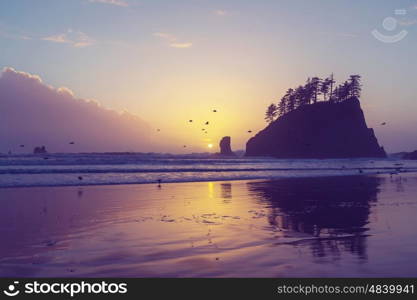 Scenic and rigorous Pacific coast in the Olympic National Park, Washington, USA. Rocks in the ocean and large logs on the beach.