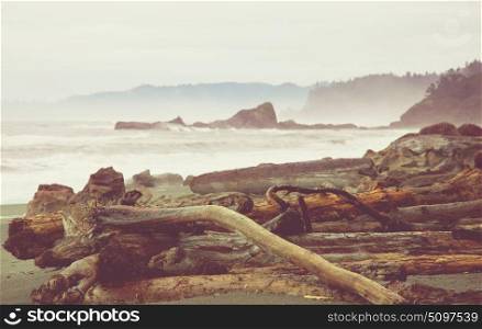 Scenic and rigorous Pacific coast in the Olympic National Park, Washington, USA. Rocks in the ocean and large logs on the beach.