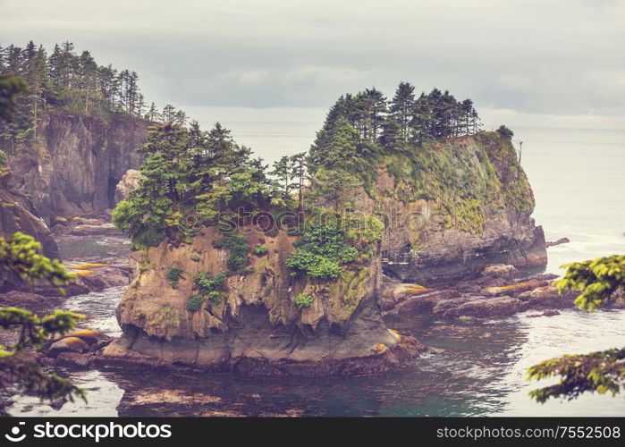 Scenic and rigorous Pacific coast in the Olympic National Park, Washington, USA. Rocks in the ocean and large logs on the beach.