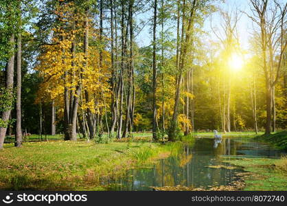 Scenic autumn landscape: park, ornamental lake and sunset