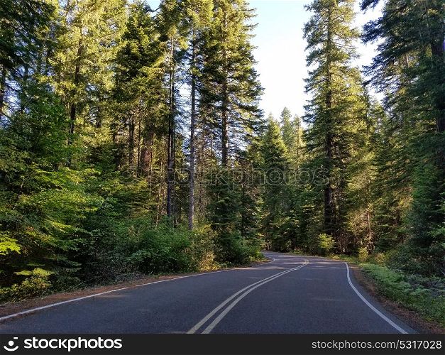 Scenic Byway through Rogue River National Forest leading to Crater Lake National Park