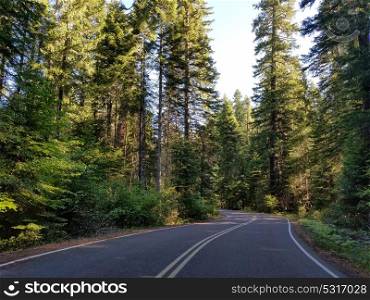 Scenic Byway through Rogue River National Forest leading to Crater Lake National Park