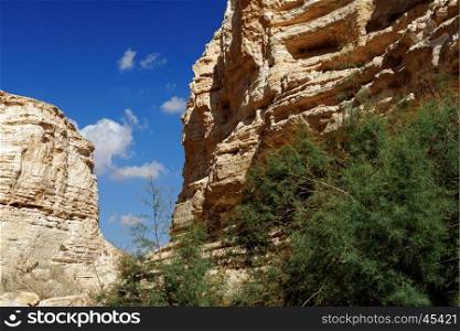 Scenic cliffs of Ein Avdat (Ein Ovdat) gorge in Israel