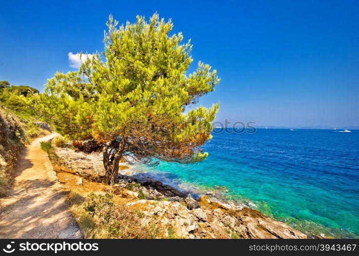 Scenic coast of Dugi otok island in Croatia