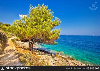Scenic coast of Dugi otok island in Croatia