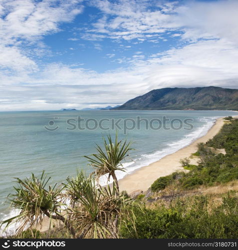Scenic coastal view from Queensland Rex Lookout with mountains in background and grassy vegetation in foreground.