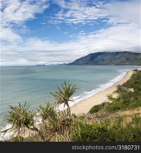 Scenic coastal view from Queensland Rex Lookout with mountains in background and grassy vegetation in foreground.