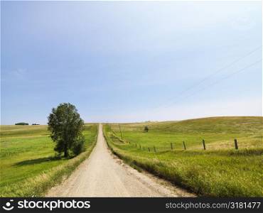 Scenic country rural gravel road leading toward the horizon.