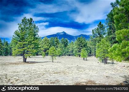 Scenic desert landscape with Humphreys Peak seen in the distance