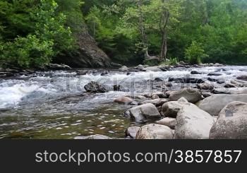 Scenic forest river in the Smokey Mountains