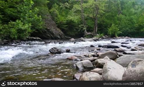 Scenic forest river in the Smokey Mountains