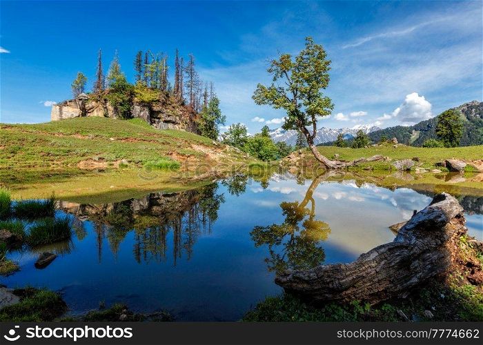 Scenic Indian Himalayan landscape scenery in Himalayas with tree and small lake. Himachal Pradesh, India. Indian Himalayan landscape in Himalayas