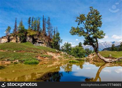 Scenic Indian Himalayan landscape scenery in Himalayas with tree and small lake. Himachal Pradesh, India. Indian Himalayan landscape in Himalayas