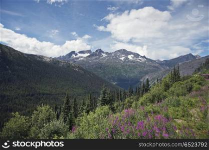 Scenic landscape along Skagway, Alaska - White Pass and Yukon Route. The scenery along the White Pass,Alaska