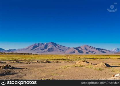 Scenic landscape at Uyuni in Bolivia with the green field and mountain