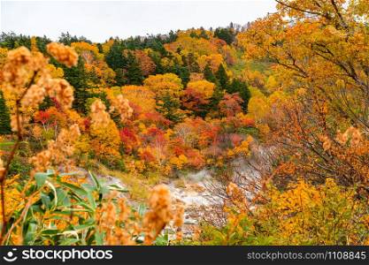Scenic landscape of the colorful foliage of autumn mountain in Fuke no Yu Onsen with the white steam flow over the valley in Towada Hachimantai National Park, Akita Prefecture, Japan.