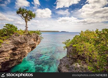 Scenic landscape with a single tree on top of a curved cliff with beautiful turquoise waters, blue sky and clouds on the Island of Mare, New Caledonia