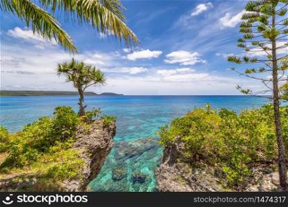 Scenic landscape with a single tree on top of a curved cliff, palm tree, pine and beautiful turquoise waters on the Island of Mare, New Caledonia