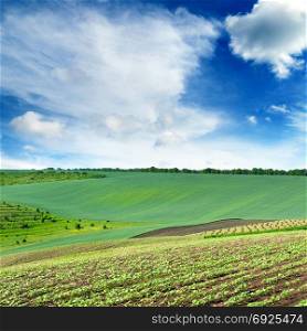 Scenic landscape with a spring field and a blue sky
