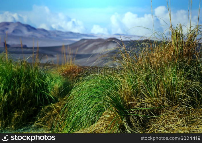 Scenic landscapes of Northern Argentina