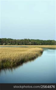 Scenic marsh landscape on Bald Head Island, North Carolina.
