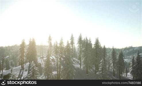 scenic mountain landscape on a winter sunny day, fog in the low areas. Mountain Landscape on a Winter Sunny Day
