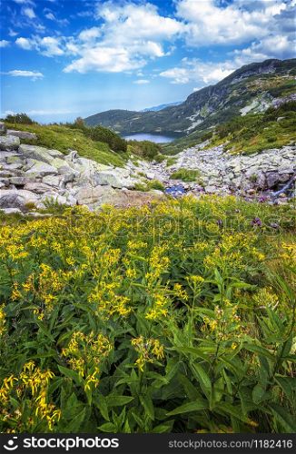 Scenic mountain landscape with yellow flowers, a lake, and rocks.Vertical view