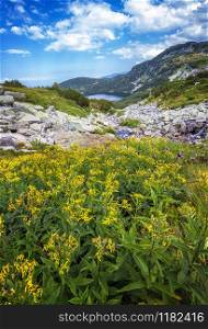 Scenic mountain landscape with yellow flowers, a lake, and rocks.Vertical view