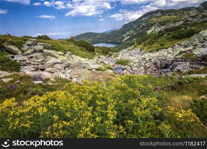 Scenic mountain landscape with yellow flowers in front, a lake, and rocks.Horizontal view