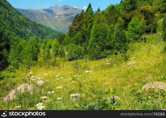 scenic mountains, meadows and blue sky