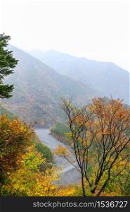scenic of Japan in the rainy day with stream and small wooden bridge in autumn season and mountain layer over white background