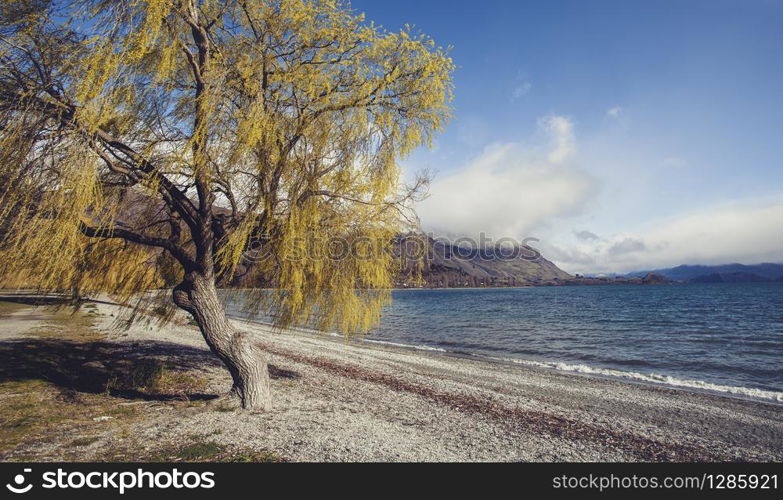 scenic of lake wanaka southland new zealand